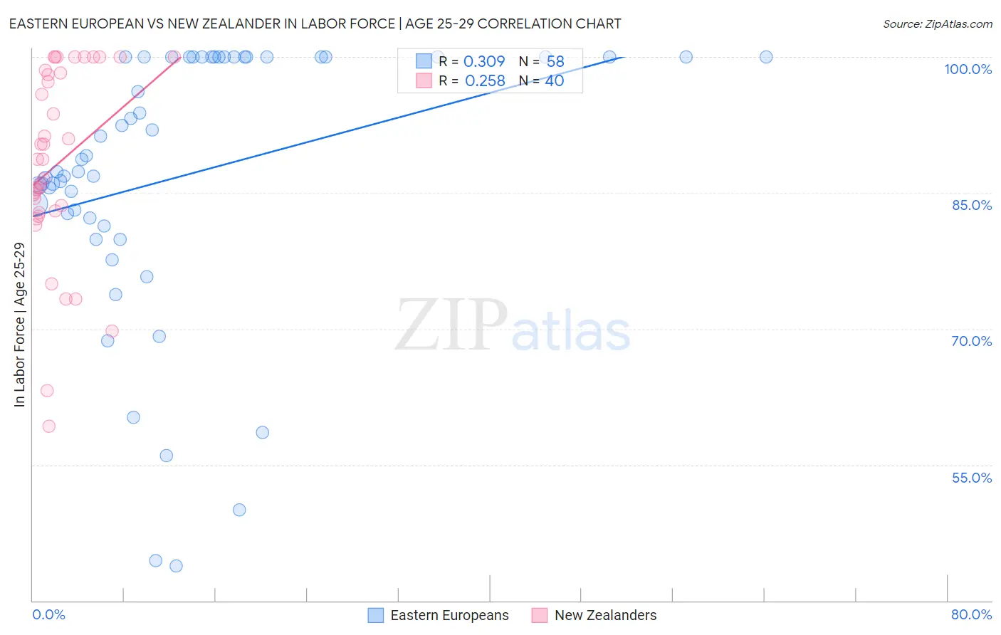 Eastern European vs New Zealander In Labor Force | Age 25-29