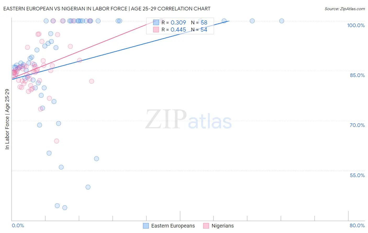 Eastern European vs Nigerian In Labor Force | Age 25-29