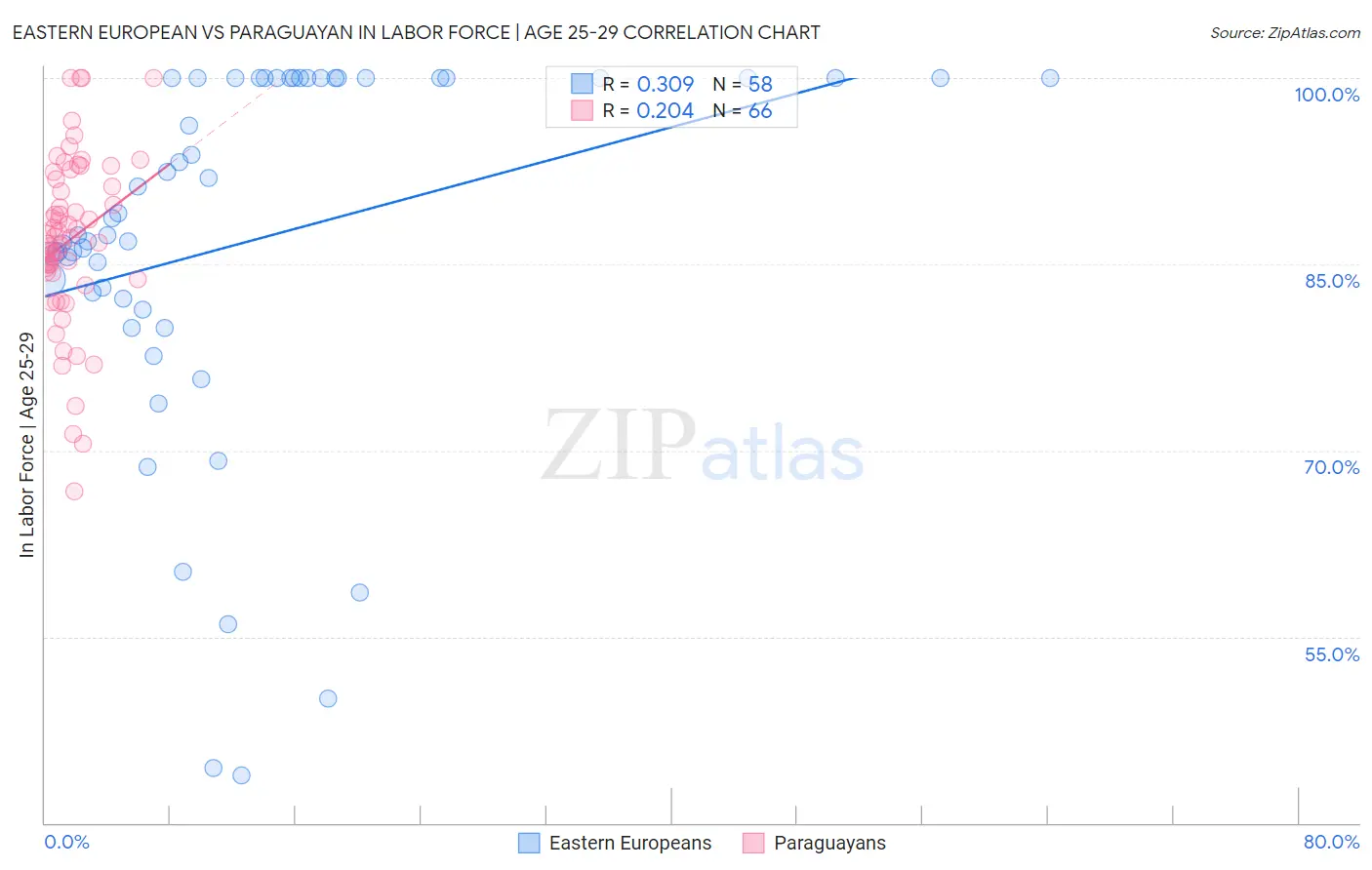 Eastern European vs Paraguayan In Labor Force | Age 25-29