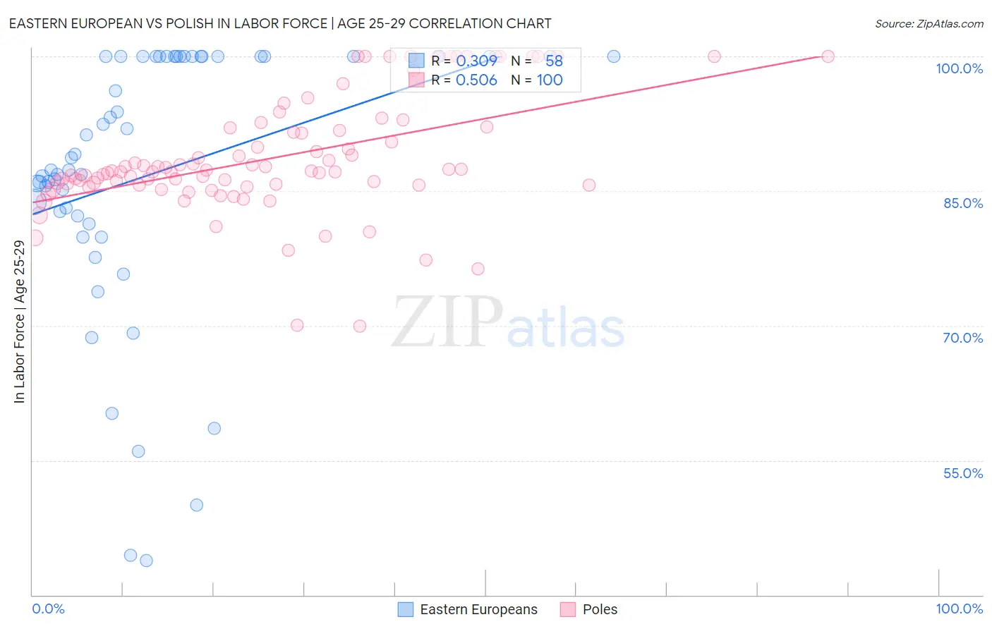 Eastern European vs Polish In Labor Force | Age 25-29