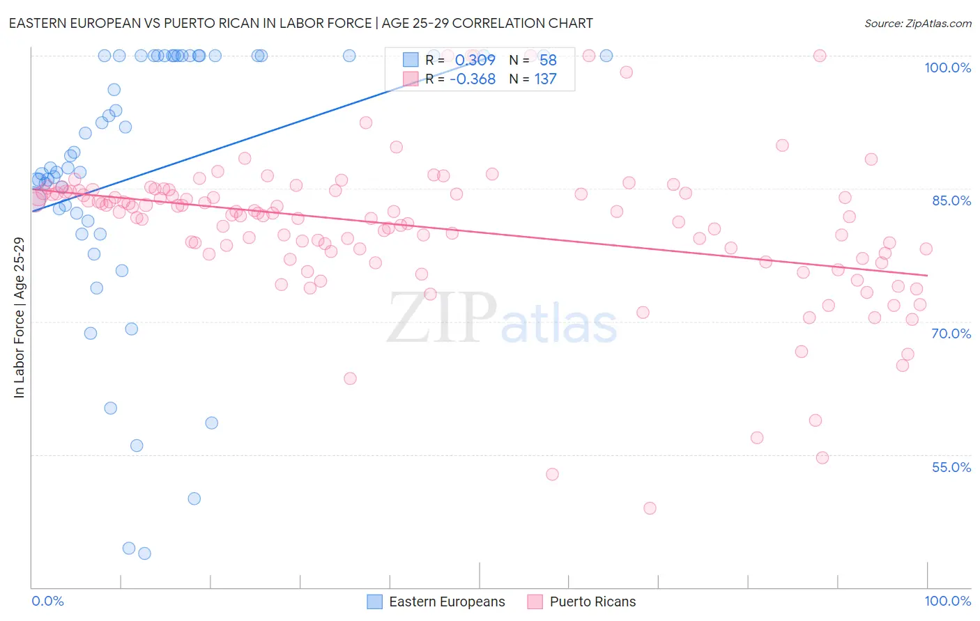 Eastern European vs Puerto Rican In Labor Force | Age 25-29