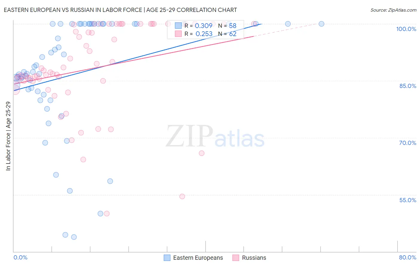 Eastern European vs Russian In Labor Force | Age 25-29