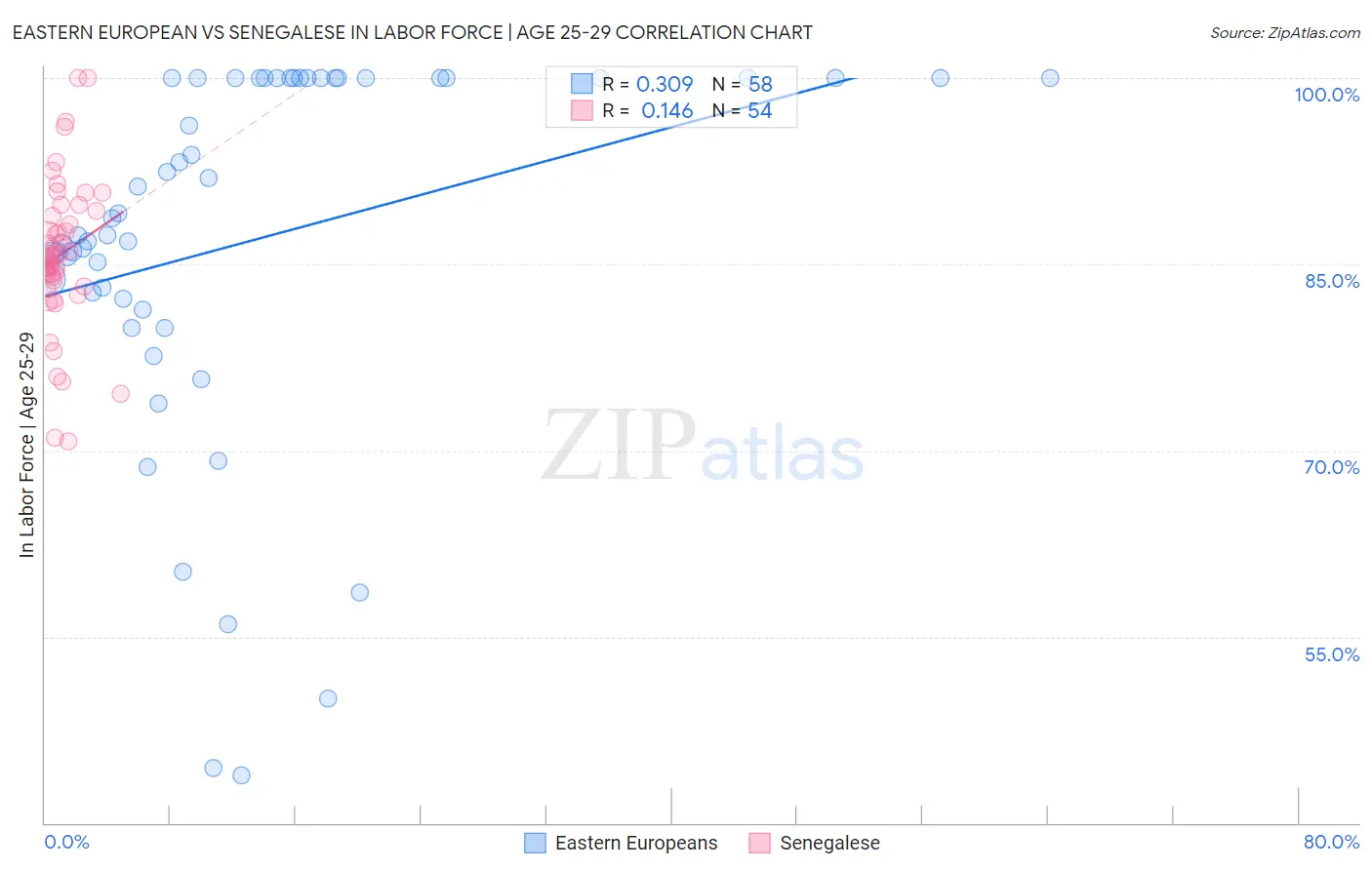 Eastern European vs Senegalese In Labor Force | Age 25-29
