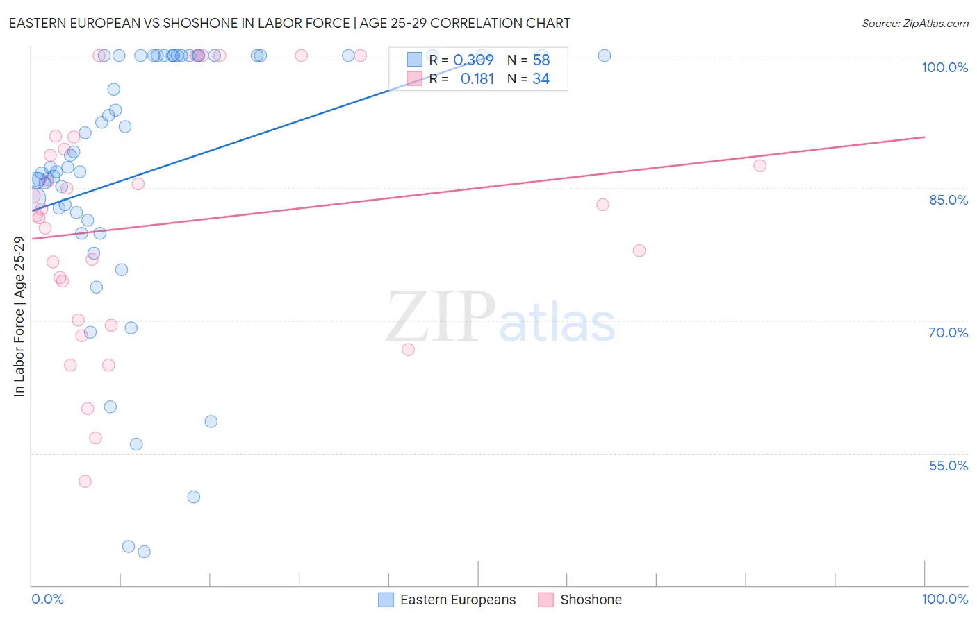 Eastern European vs Shoshone In Labor Force | Age 25-29