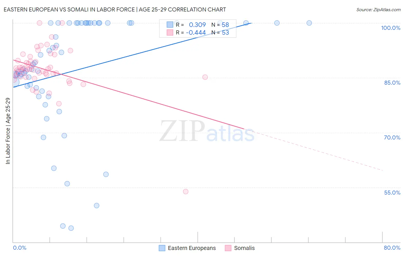 Eastern European vs Somali In Labor Force | Age 25-29