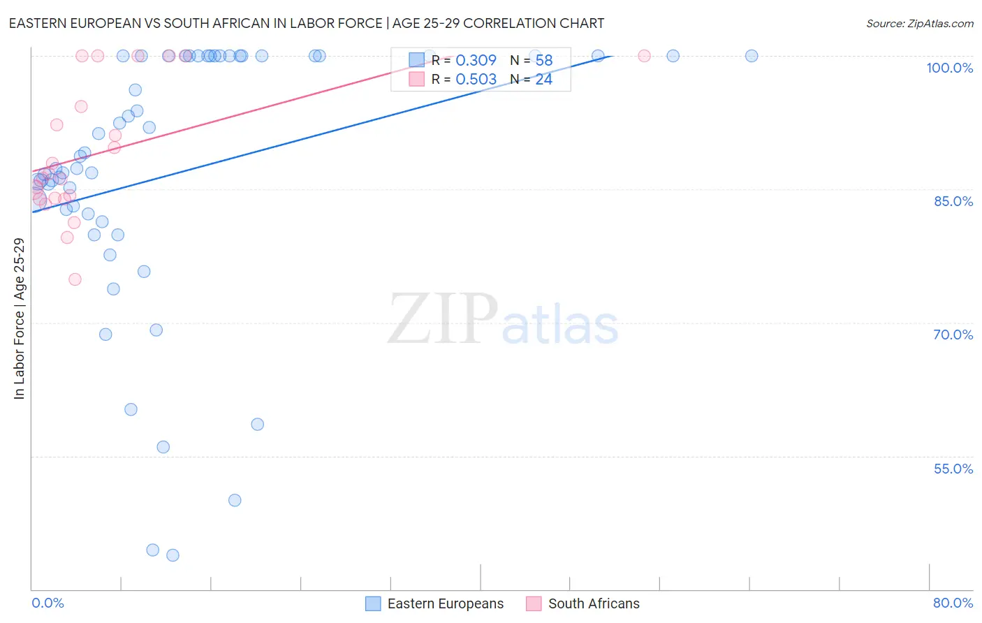 Eastern European vs South African In Labor Force | Age 25-29