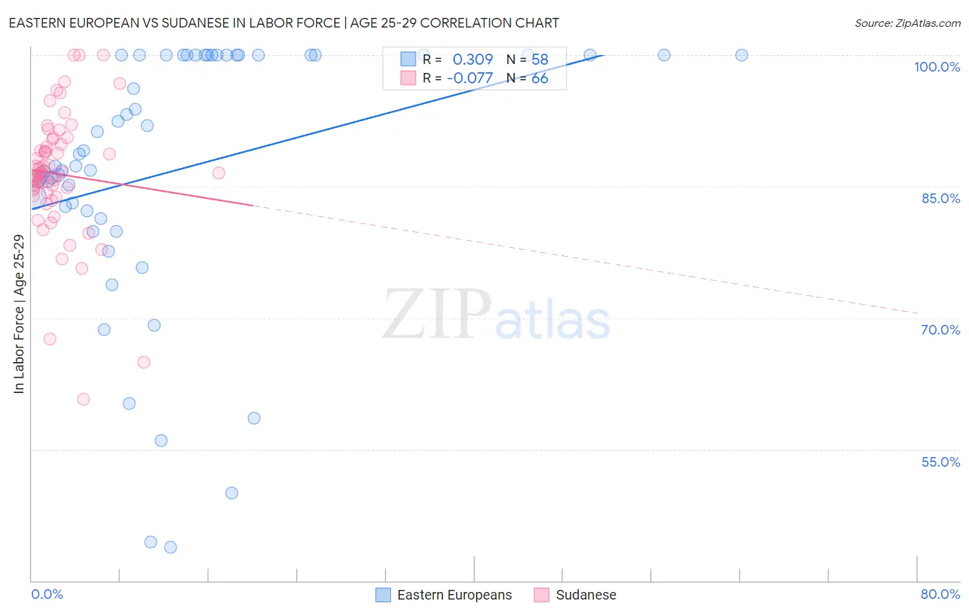 Eastern European vs Sudanese In Labor Force | Age 25-29