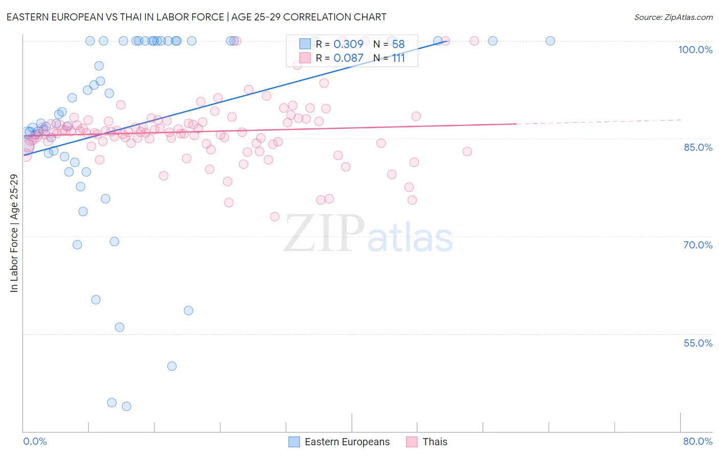 Eastern European vs Thai In Labor Force | Age 25-29