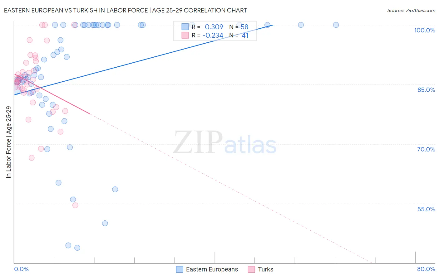 Eastern European vs Turkish In Labor Force | Age 25-29