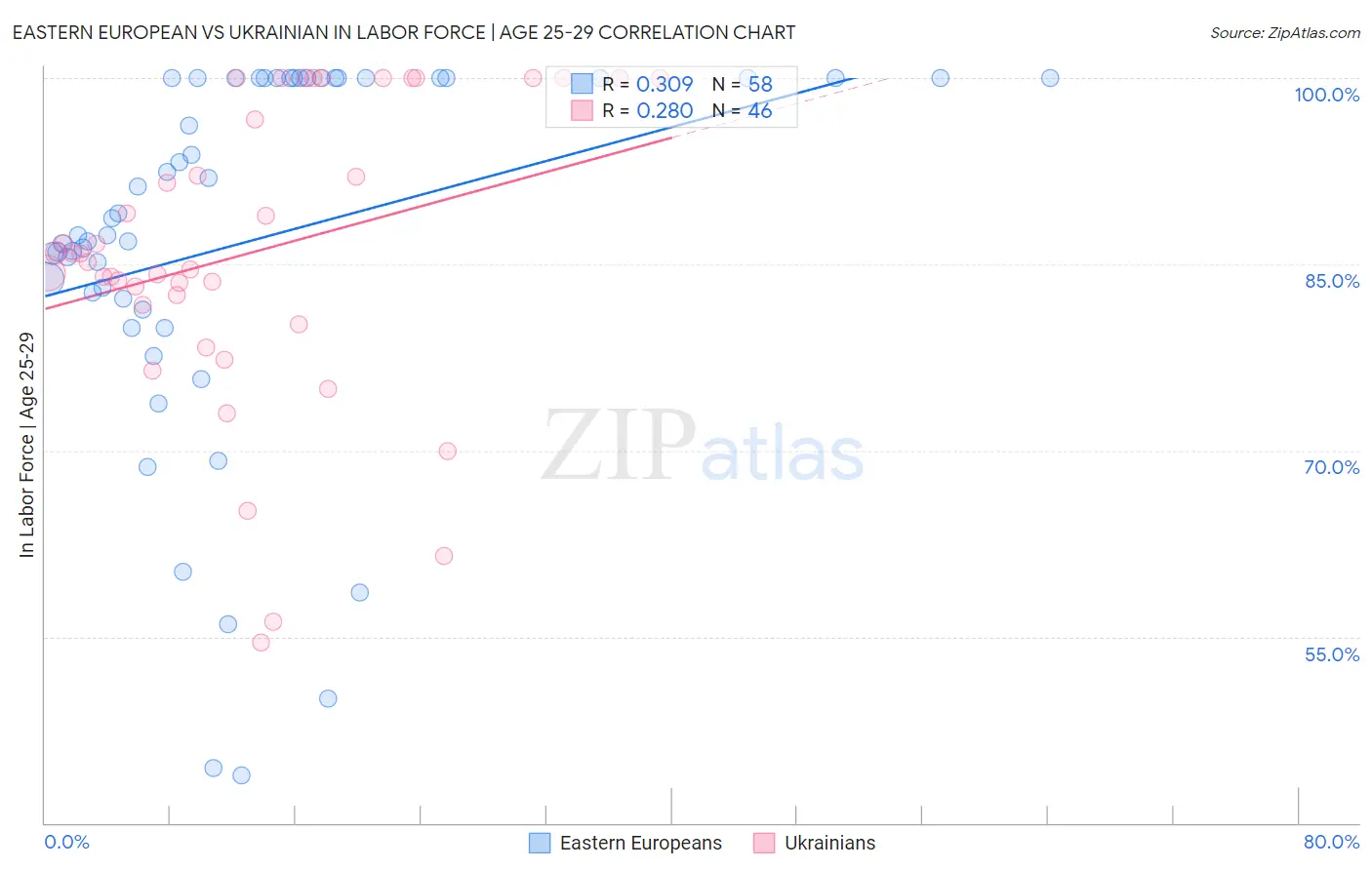 Eastern European vs Ukrainian In Labor Force | Age 25-29