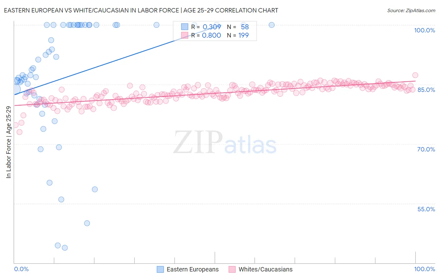 Eastern European vs White/Caucasian In Labor Force | Age 25-29