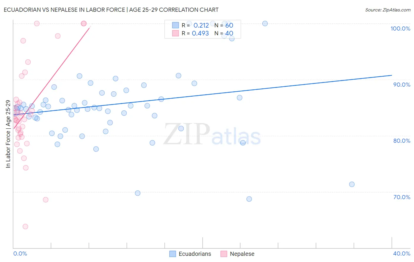 Ecuadorian vs Nepalese In Labor Force | Age 25-29