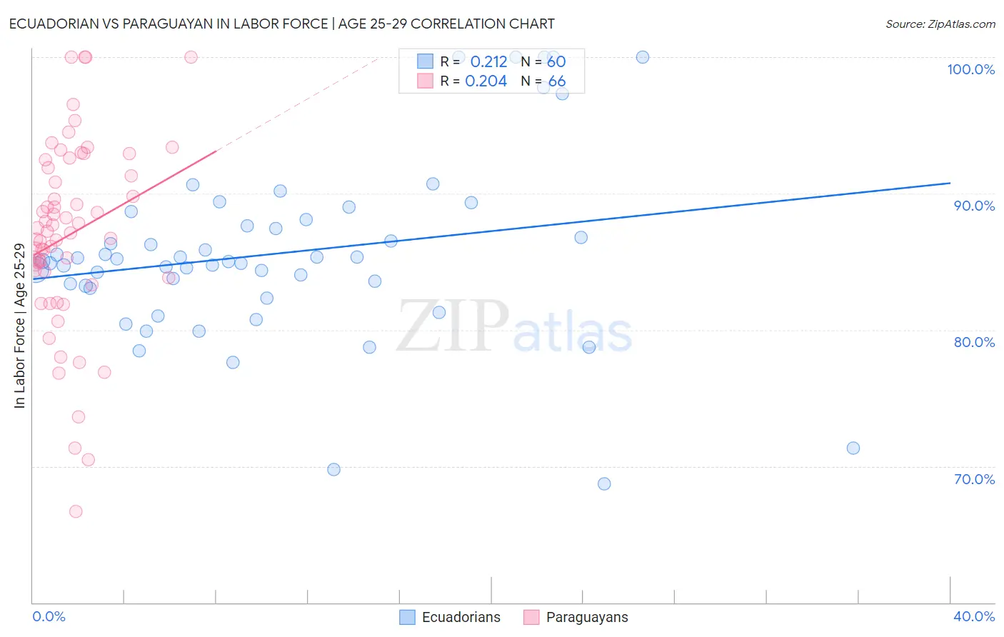 Ecuadorian vs Paraguayan In Labor Force | Age 25-29