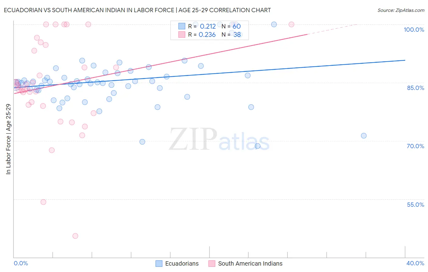 Ecuadorian vs South American Indian In Labor Force | Age 25-29