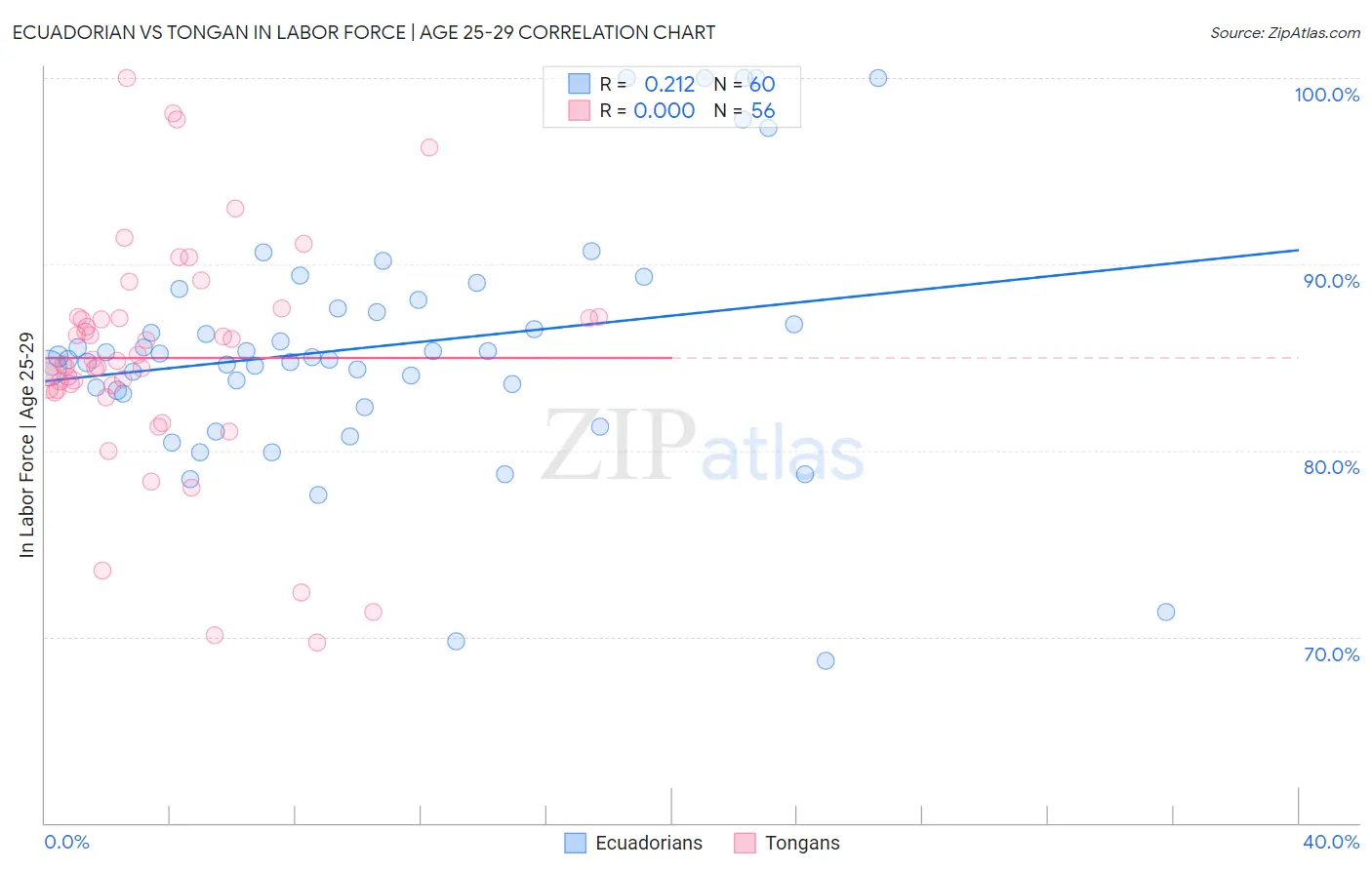 Ecuadorian vs Tongan In Labor Force | Age 25-29