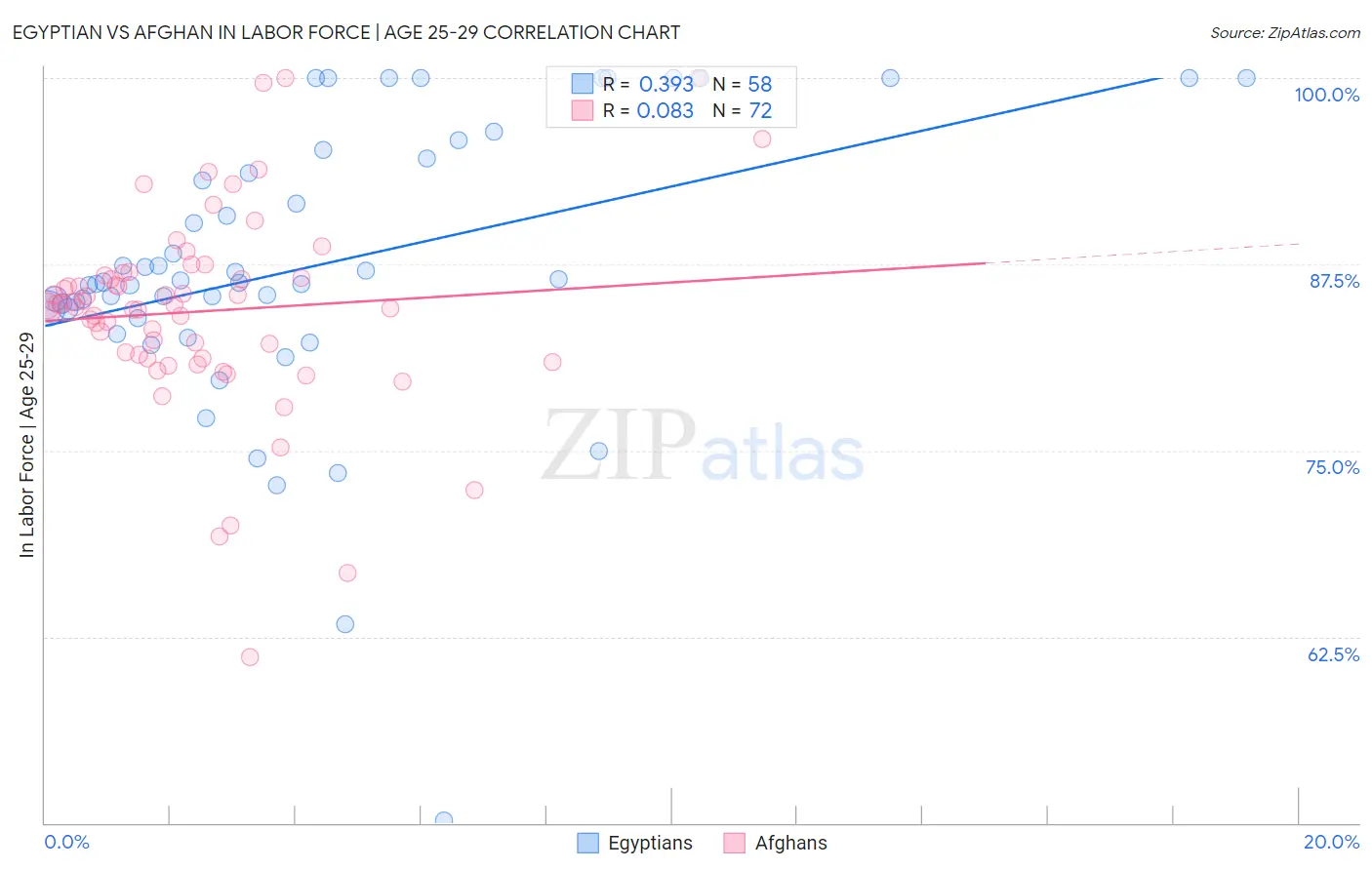 Egyptian vs Afghan In Labor Force | Age 25-29