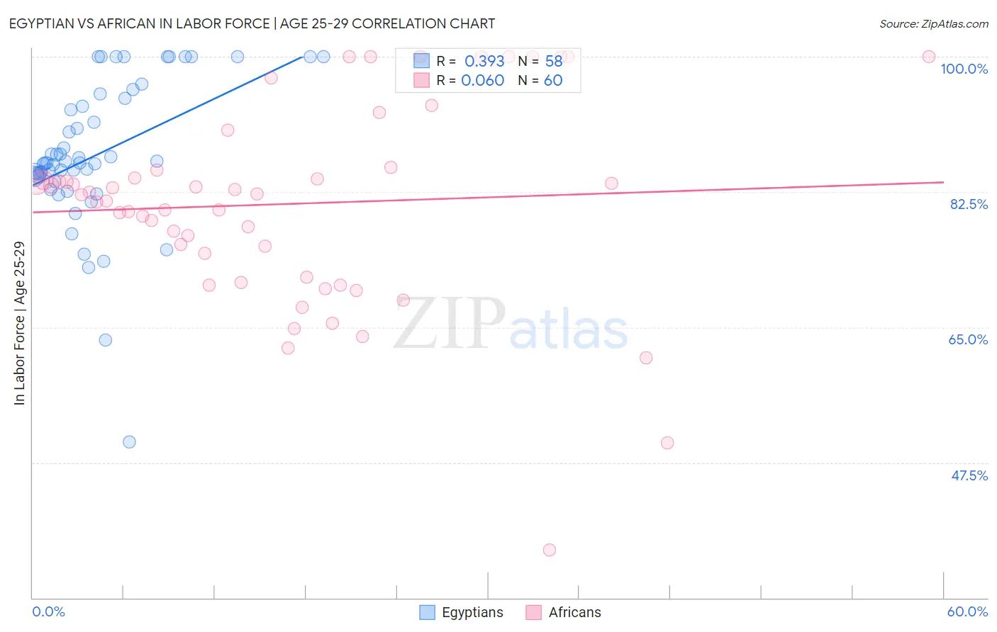 Egyptian vs African In Labor Force | Age 25-29