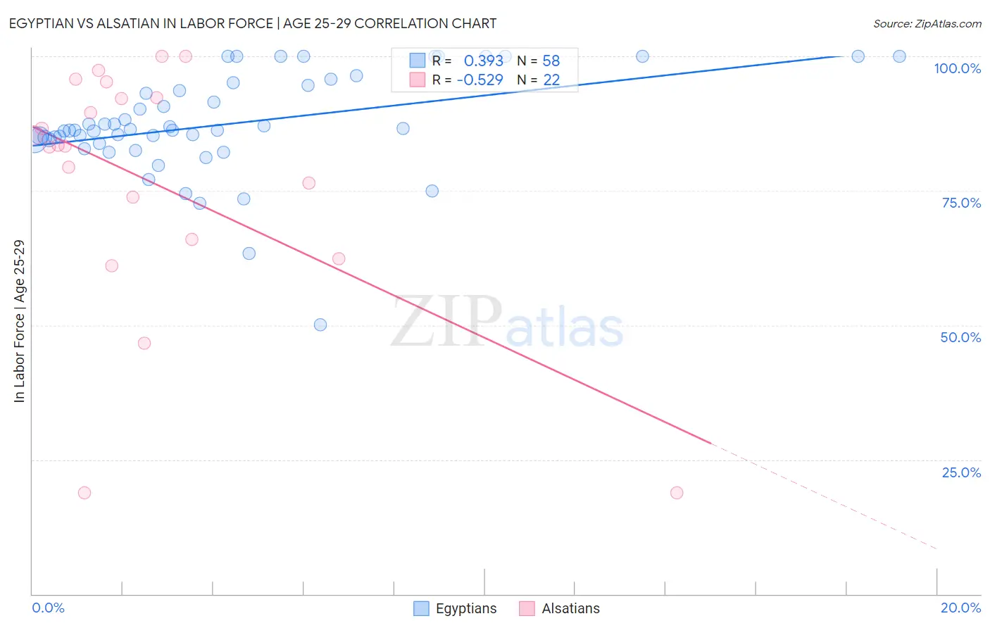 Egyptian vs Alsatian In Labor Force | Age 25-29