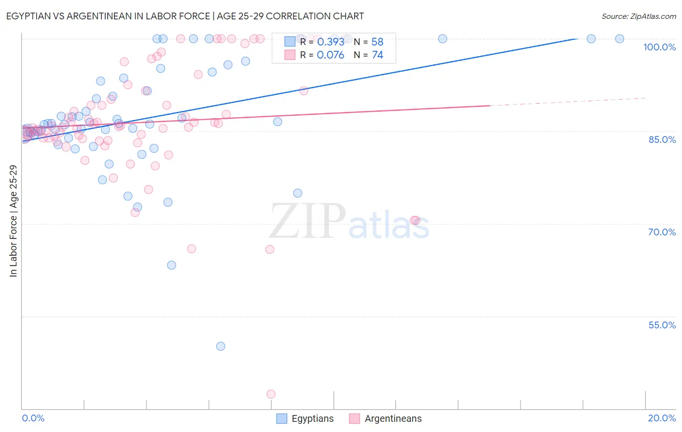 Egyptian vs Argentinean In Labor Force | Age 25-29