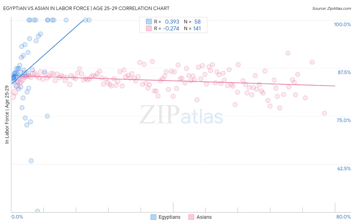 Egyptian vs Asian In Labor Force | Age 25-29
