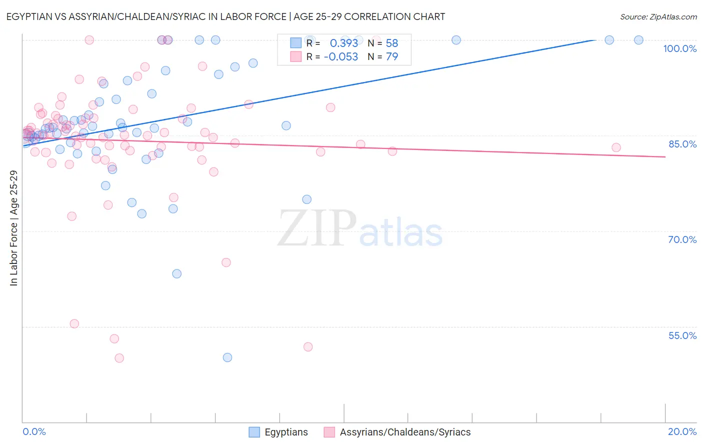 Egyptian vs Assyrian/Chaldean/Syriac In Labor Force | Age 25-29