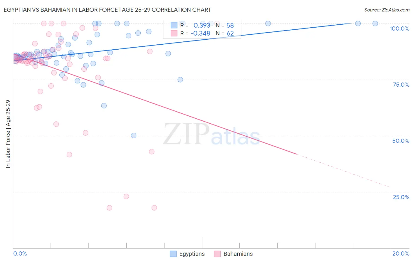 Egyptian vs Bahamian In Labor Force | Age 25-29