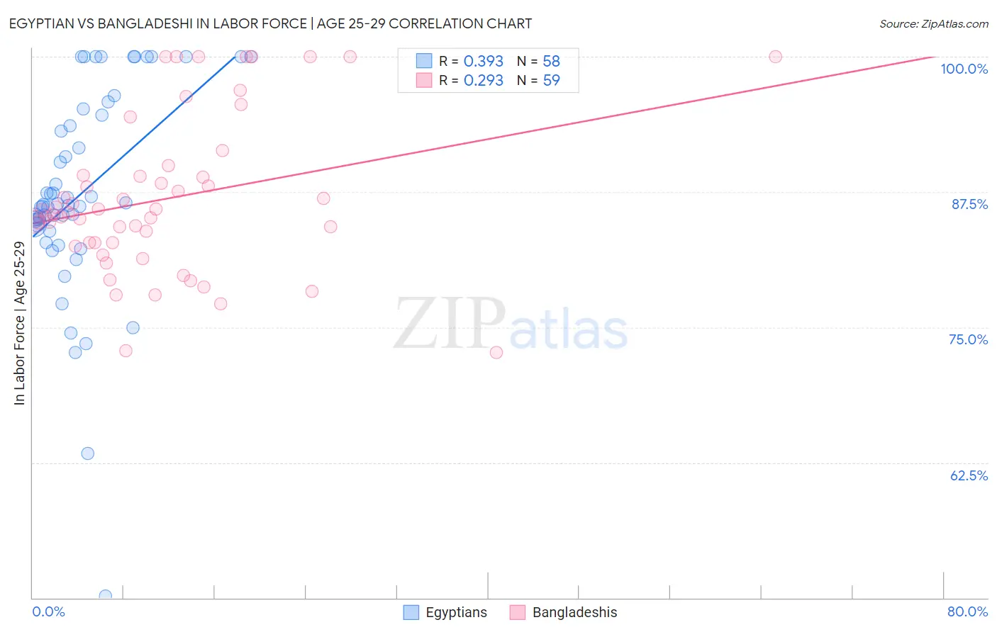 Egyptian vs Bangladeshi In Labor Force | Age 25-29
