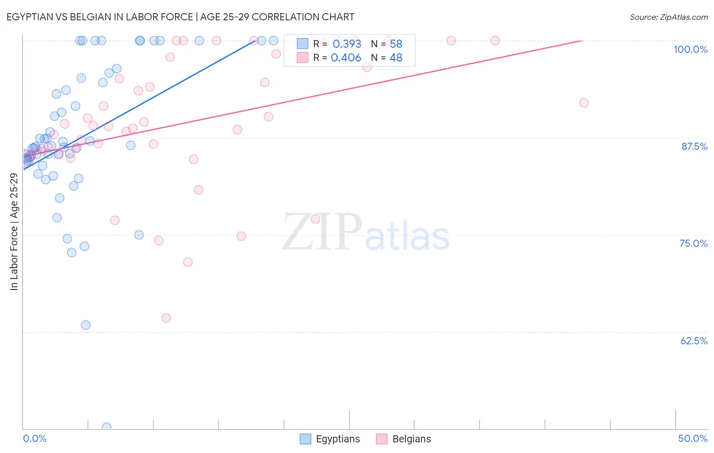 Egyptian vs Belgian In Labor Force | Age 25-29