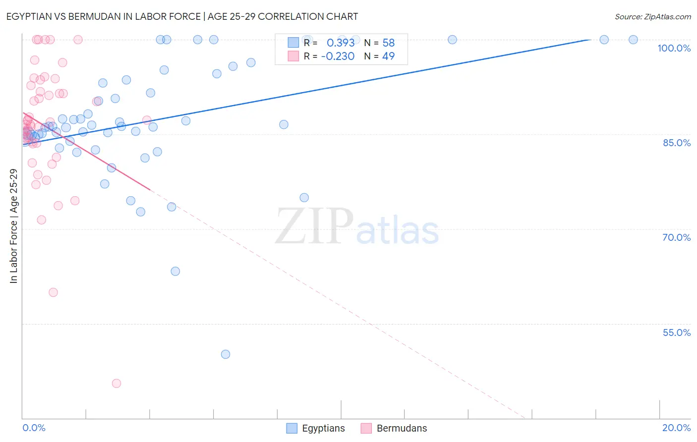 Egyptian vs Bermudan In Labor Force | Age 25-29