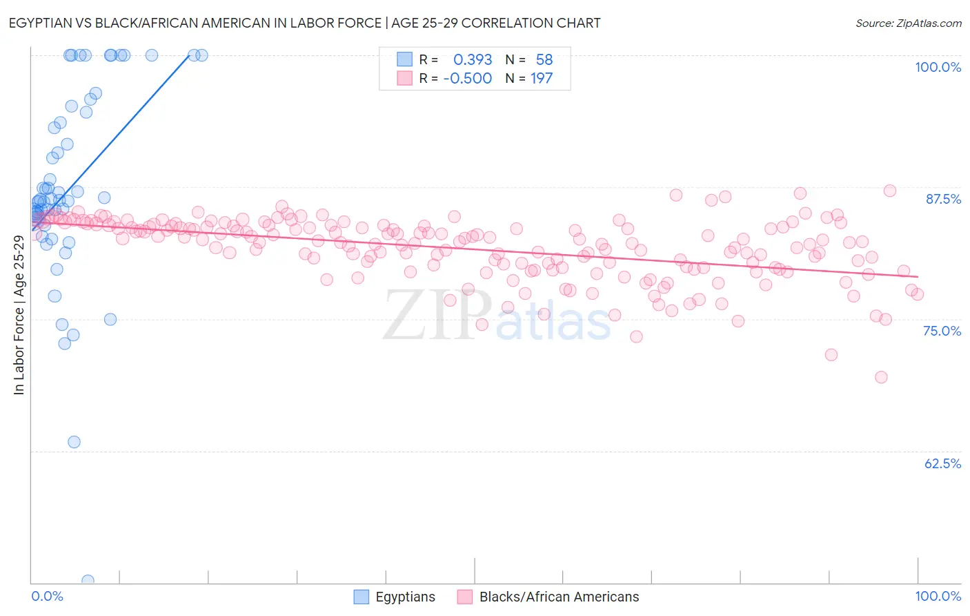 Egyptian vs Black/African American In Labor Force | Age 25-29