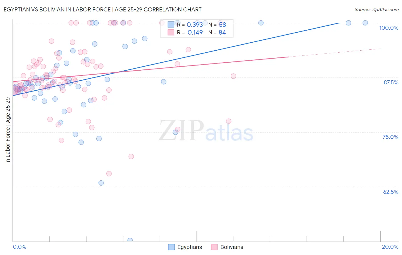 Egyptian vs Bolivian In Labor Force | Age 25-29