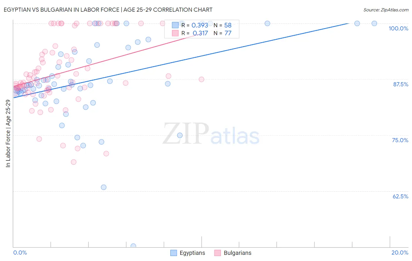 Egyptian vs Bulgarian In Labor Force | Age 25-29