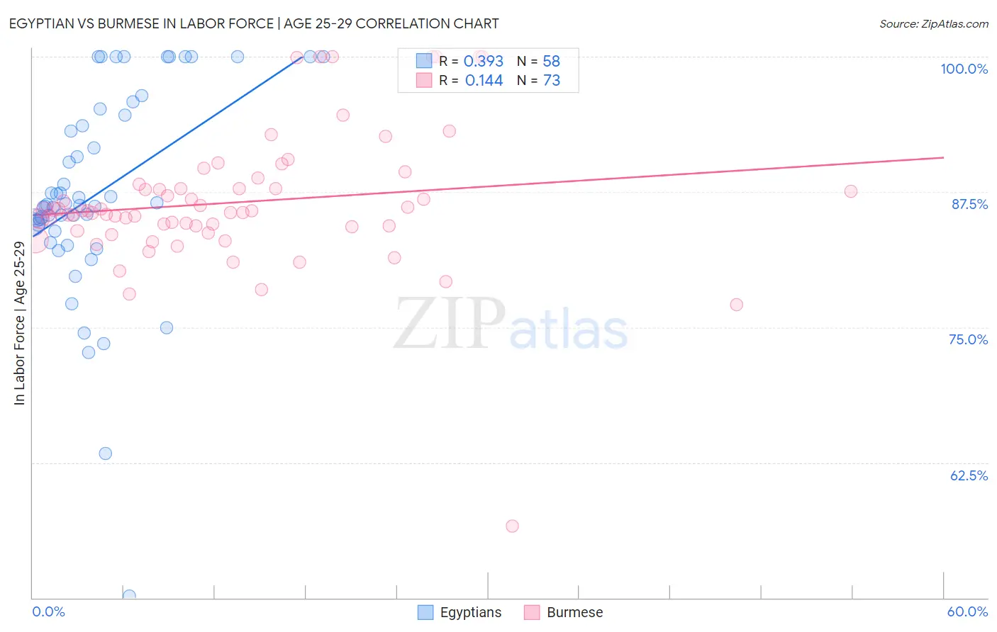 Egyptian vs Burmese In Labor Force | Age 25-29