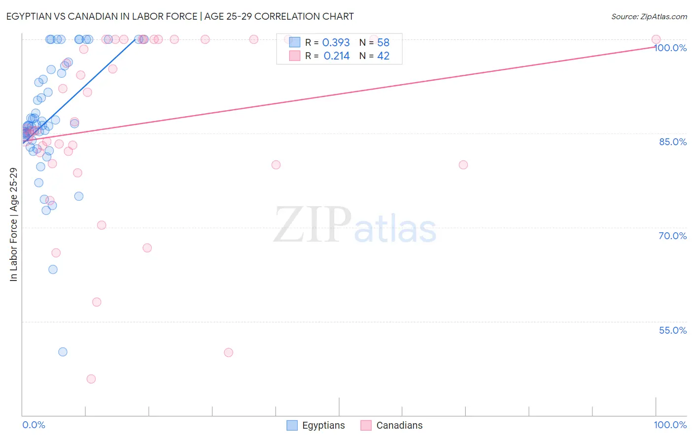 Egyptian vs Canadian In Labor Force | Age 25-29