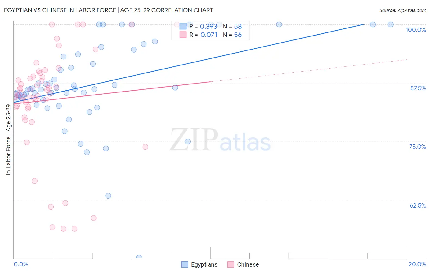 Egyptian vs Chinese In Labor Force | Age 25-29