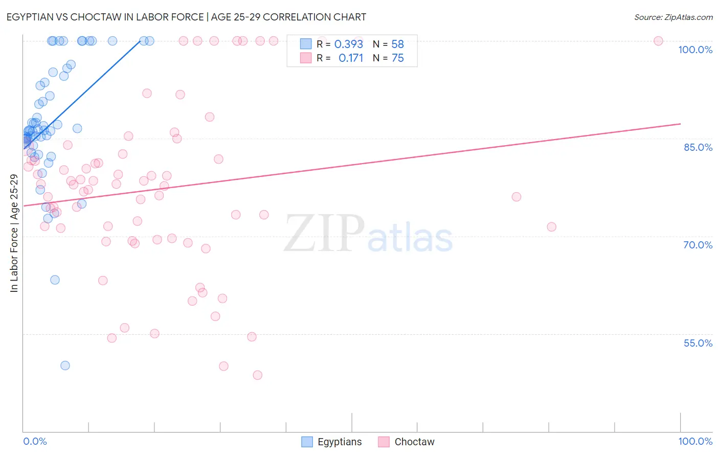 Egyptian vs Choctaw In Labor Force | Age 25-29