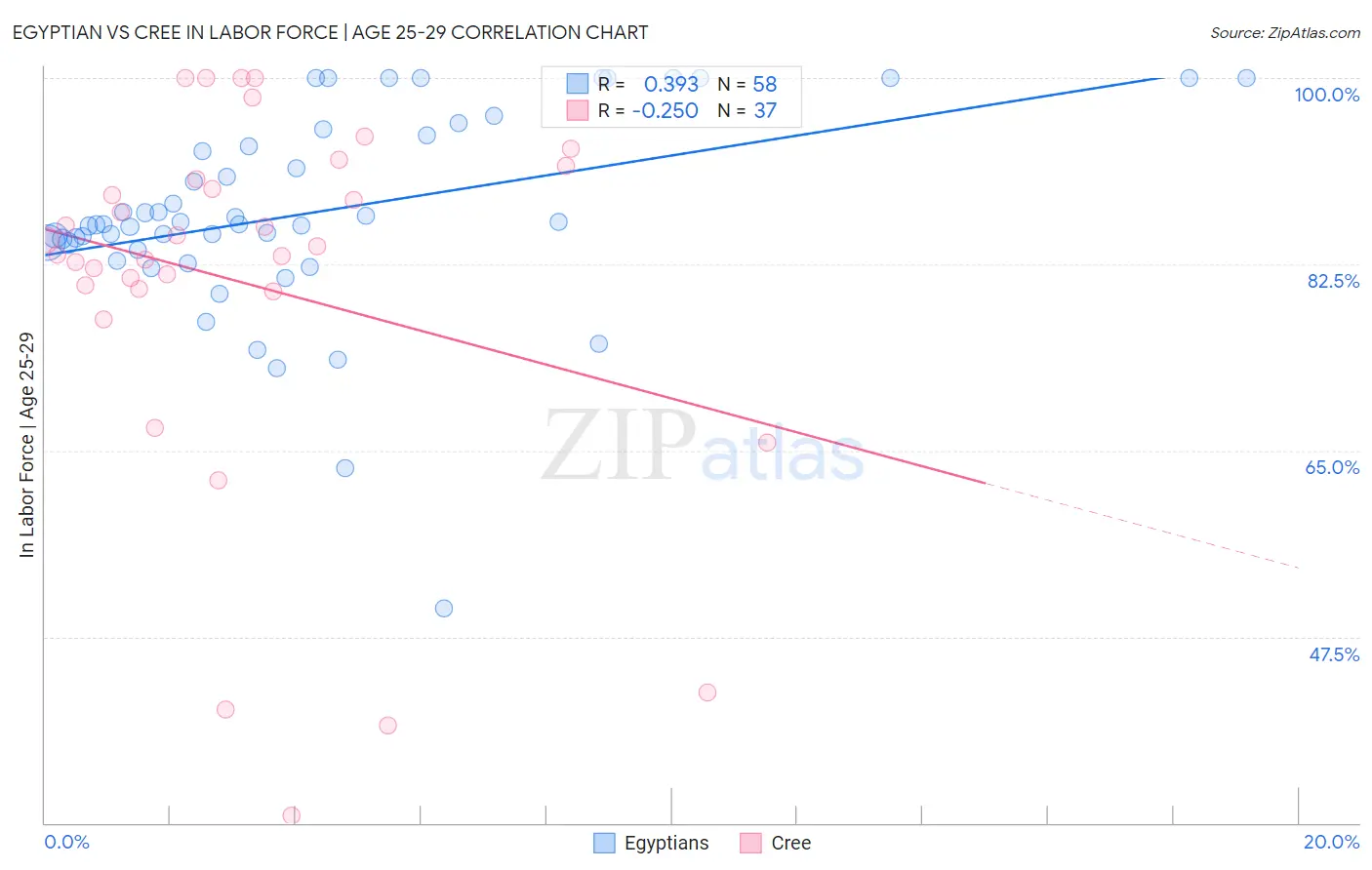 Egyptian vs Cree In Labor Force | Age 25-29