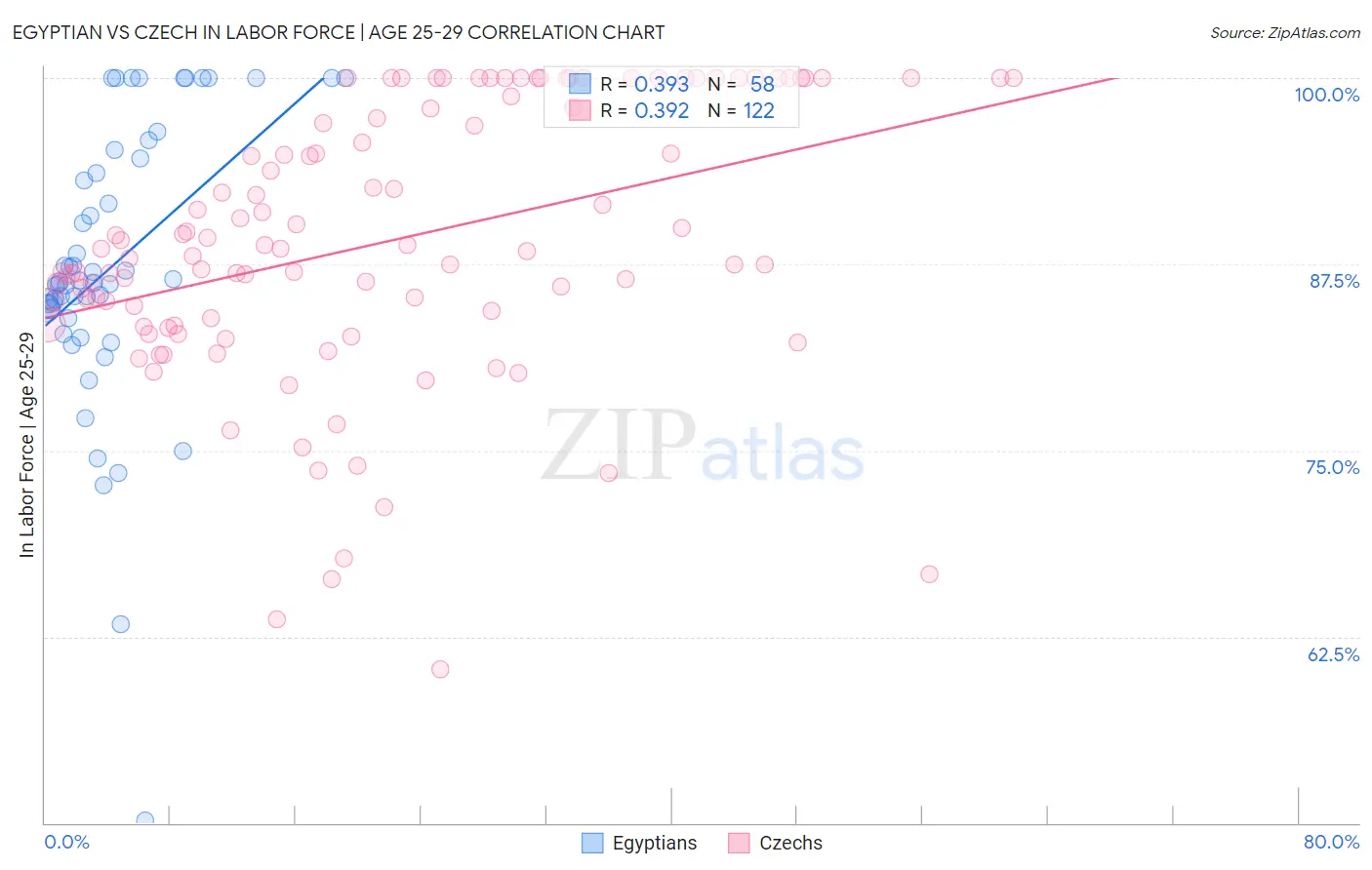 Egyptian vs Czech In Labor Force | Age 25-29