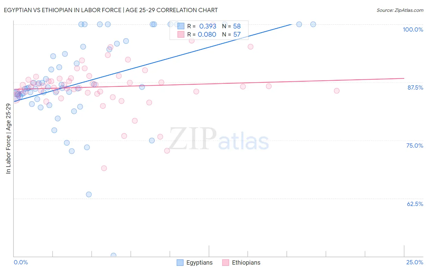 Egyptian vs Ethiopian In Labor Force | Age 25-29