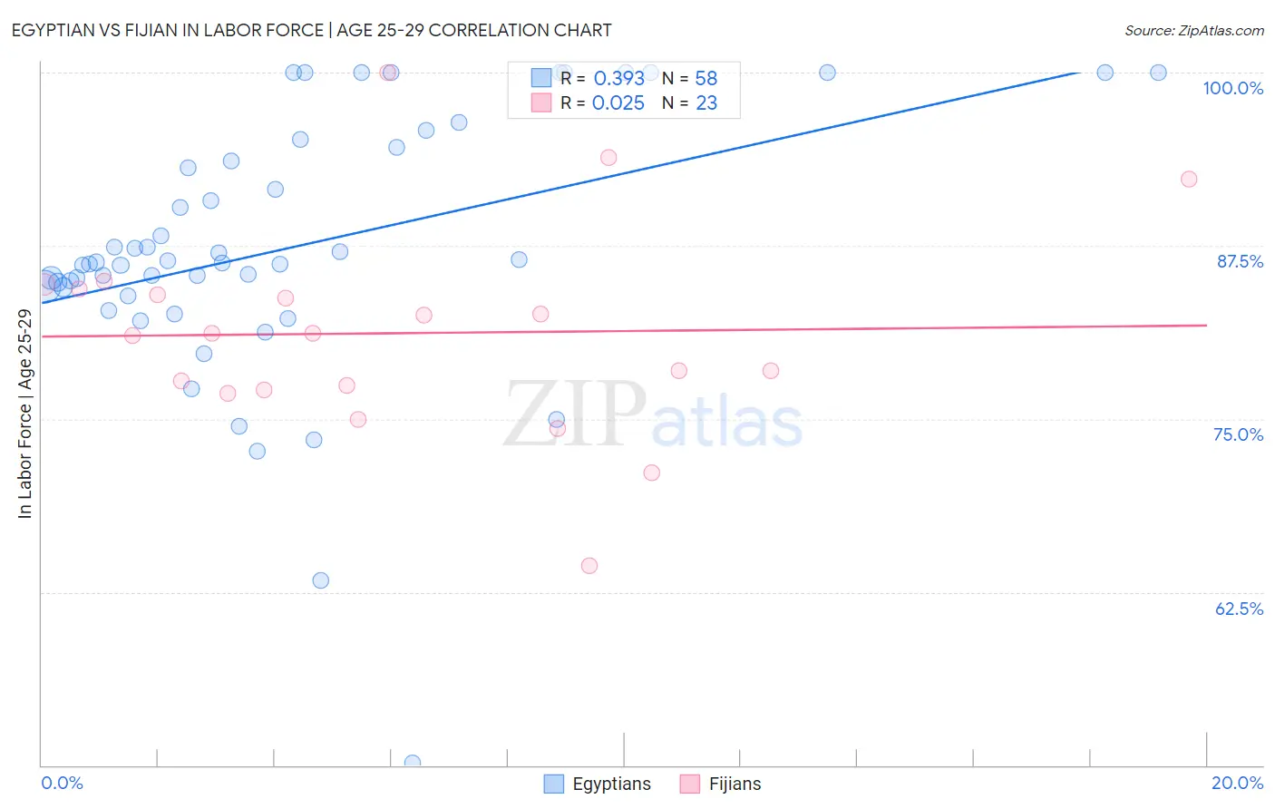Egyptian vs Fijian In Labor Force | Age 25-29