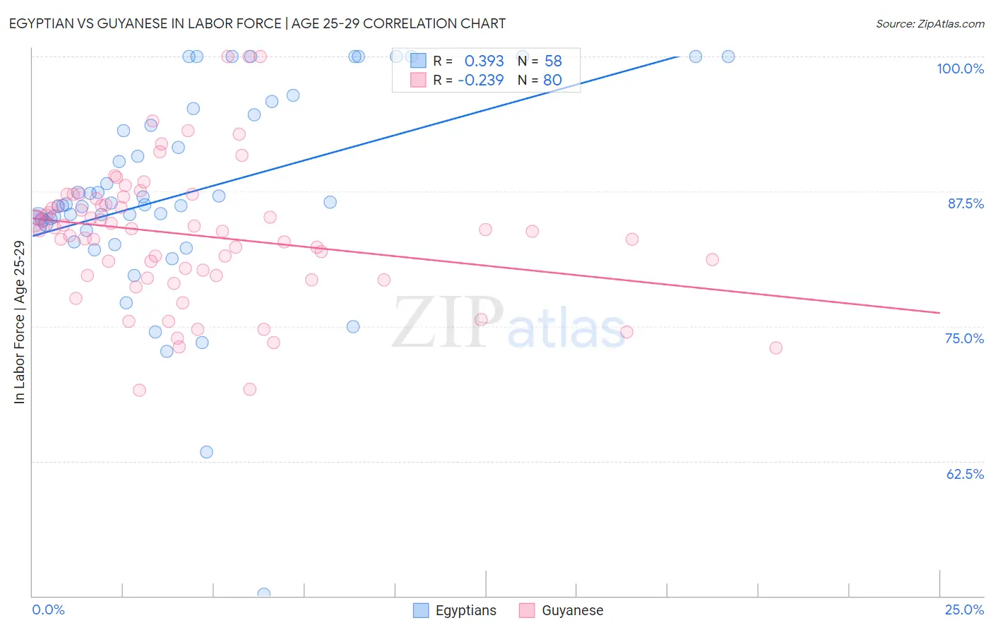 Egyptian vs Guyanese In Labor Force | Age 25-29