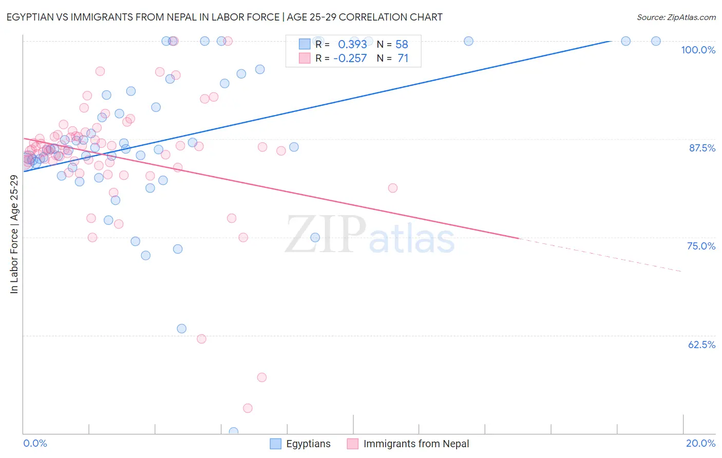 Egyptian vs Immigrants from Nepal In Labor Force | Age 25-29