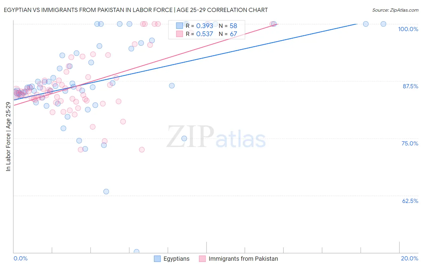 Egyptian vs Immigrants from Pakistan In Labor Force | Age 25-29