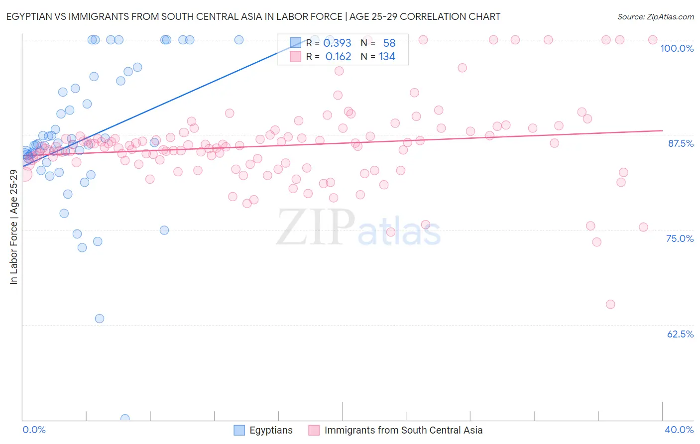Egyptian vs Immigrants from South Central Asia In Labor Force | Age 25-29