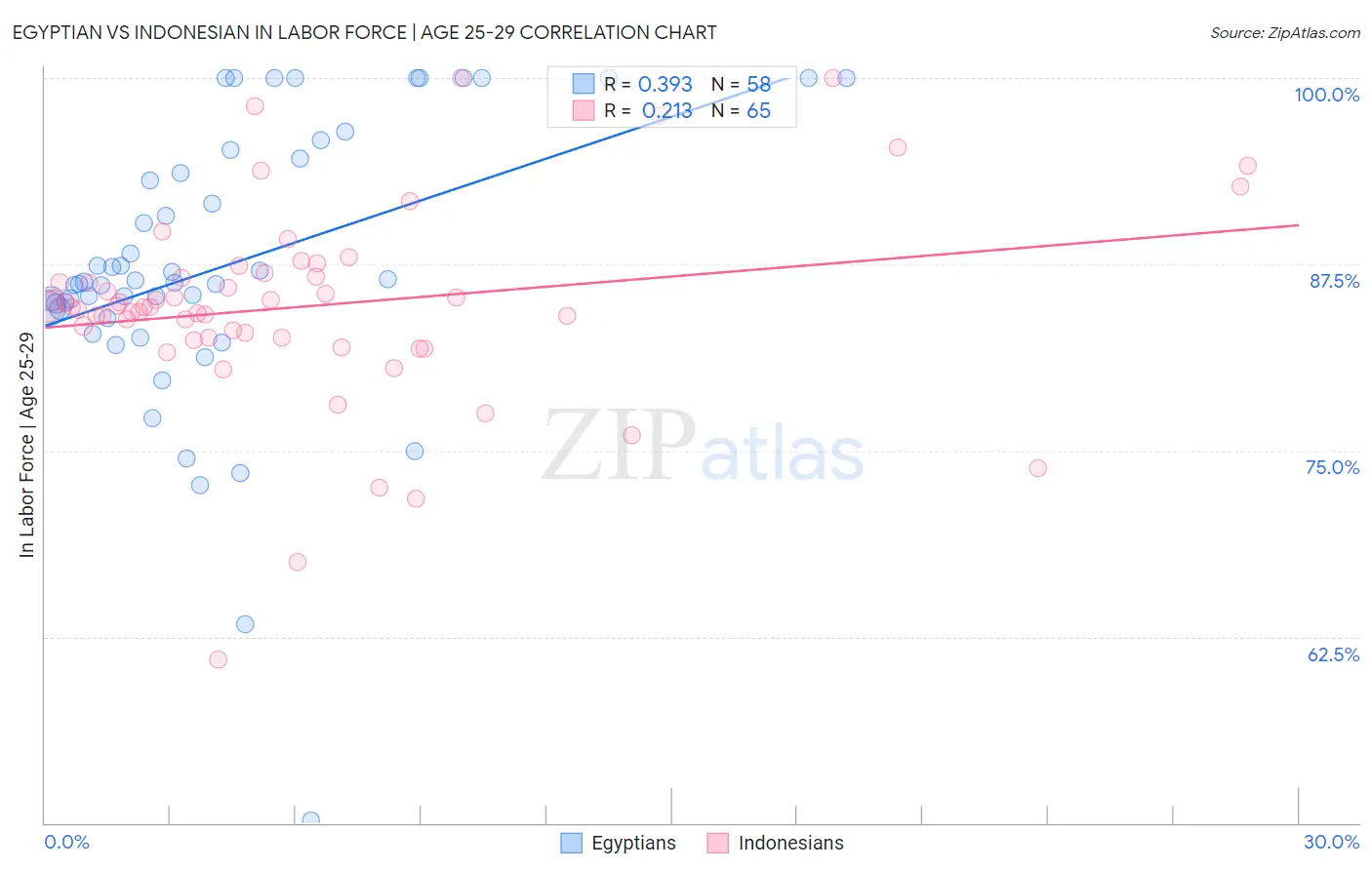 Egyptian vs Indonesian In Labor Force | Age 25-29