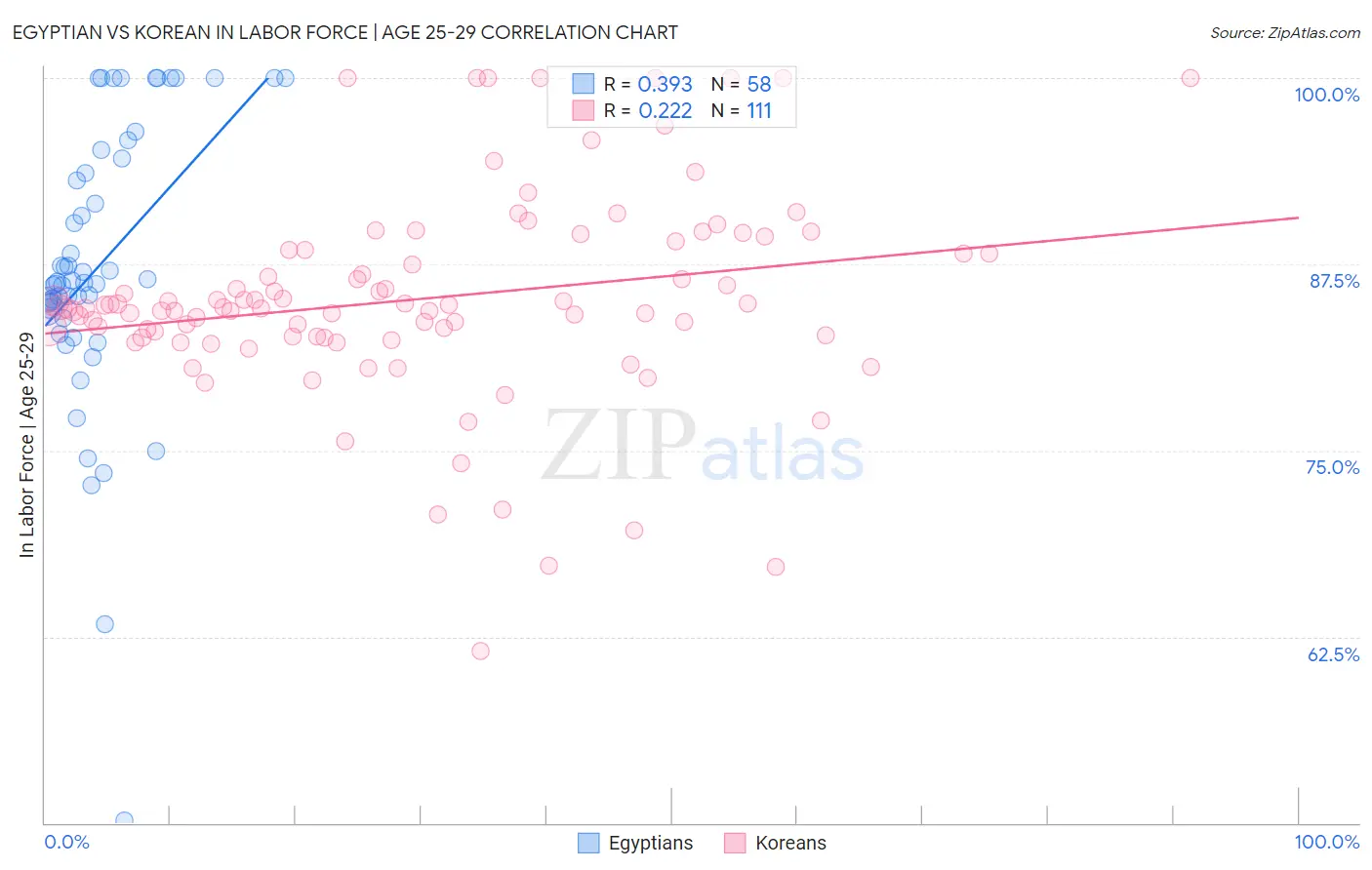 Egyptian vs Korean In Labor Force | Age 25-29