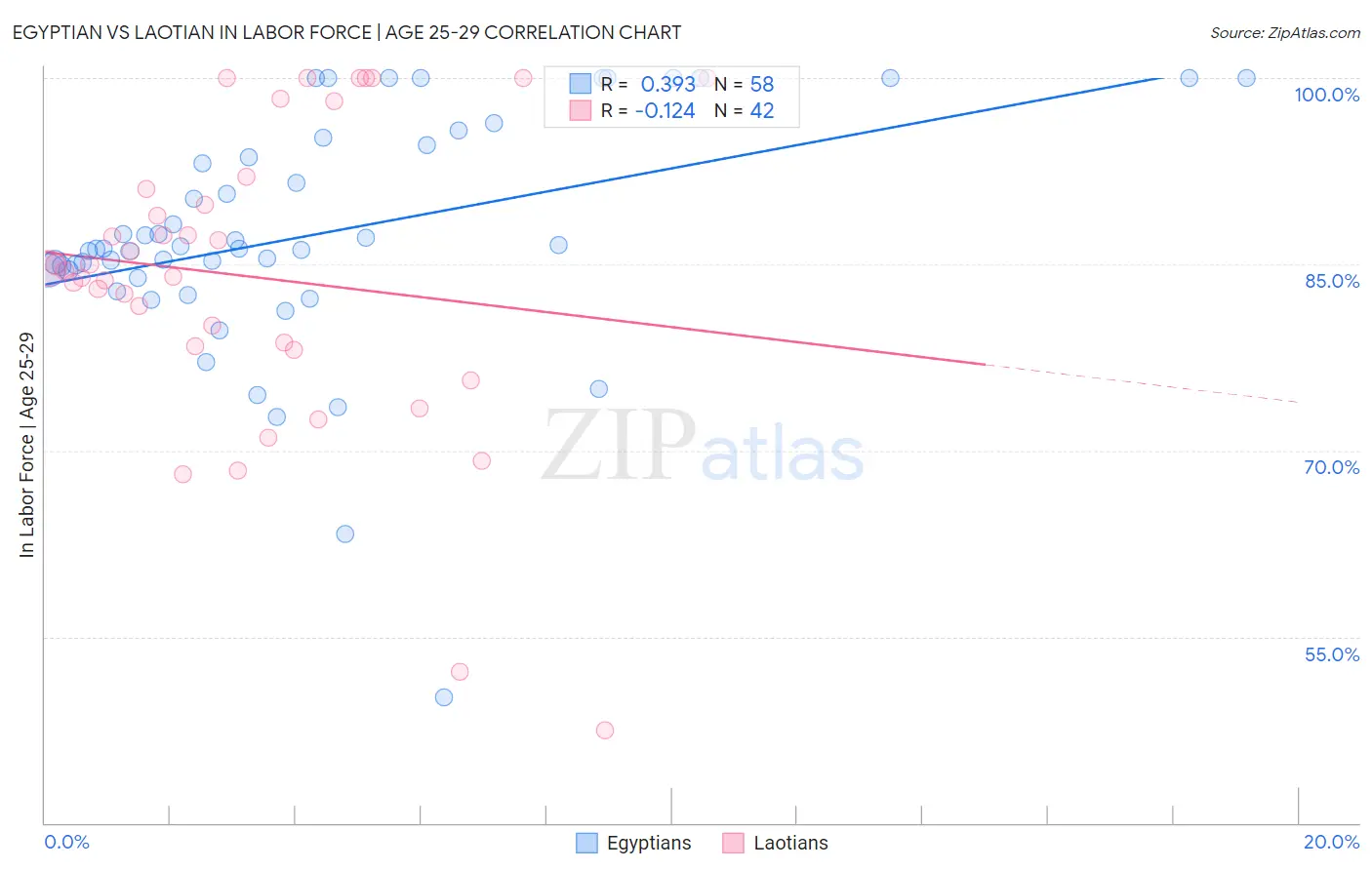 Egyptian vs Laotian In Labor Force | Age 25-29
