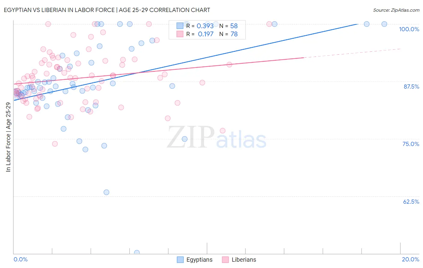 Egyptian vs Liberian In Labor Force | Age 25-29
