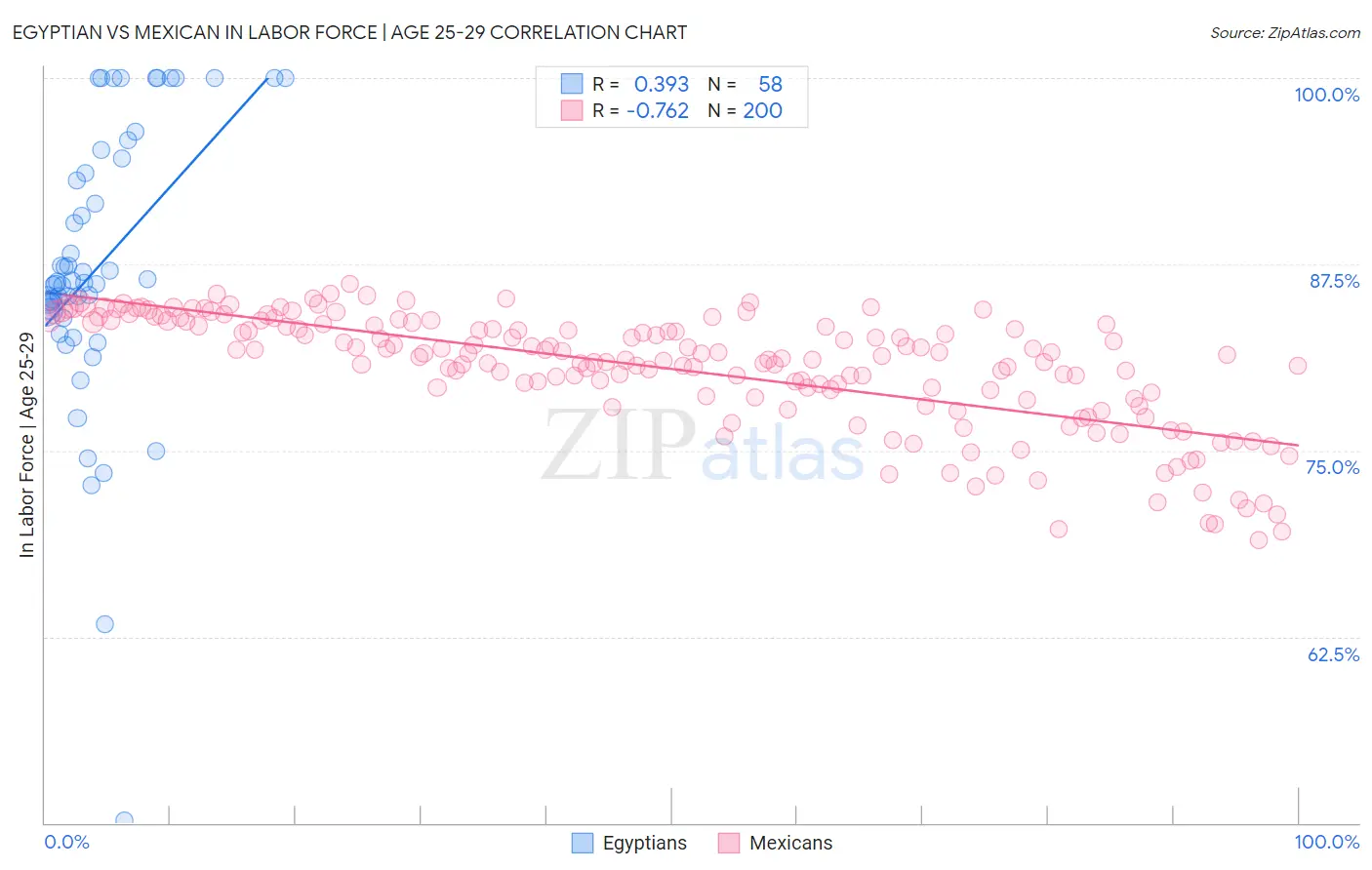 Egyptian vs Mexican In Labor Force | Age 25-29