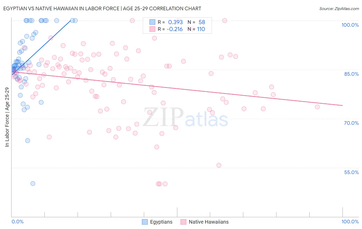 Egyptian vs Native Hawaiian In Labor Force | Age 25-29